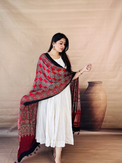 Rust Orange  Ajrakh Modal Silk Lagdi Patta Dupatta